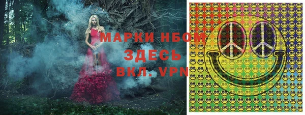 шишки Алексин