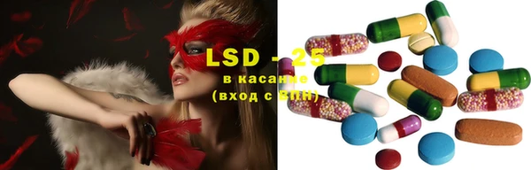 шишки Алексин