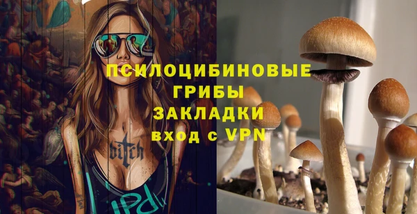 эйфоретик Алексеевка